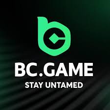 Exploring the Top Bets on BC.Game