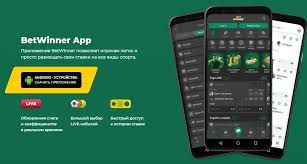 BetWinner Casino Your Ultimate Online Gaming Destination